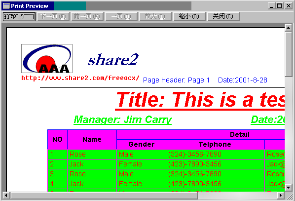 Print Preview ActiveX Control screenshot